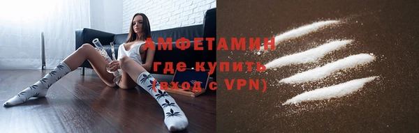 гидра Чегем