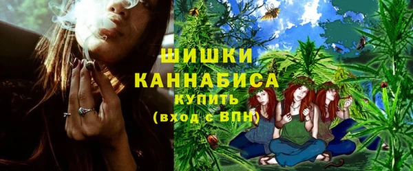 гидра Чегем