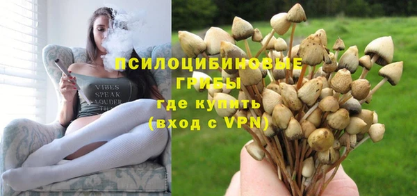 гидра Чегем