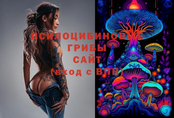 твердый Чердынь