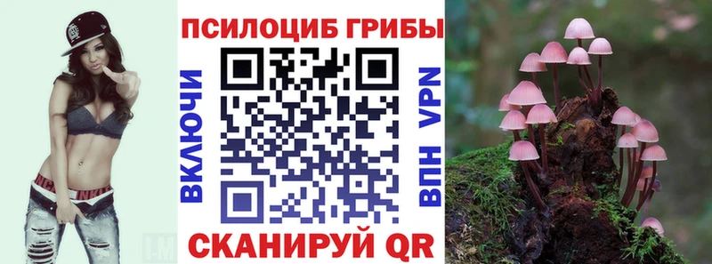 Псилоцибиновые грибы ЛСД  Купить  Сорочинск 